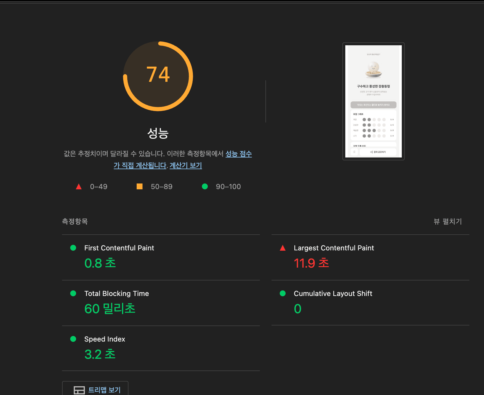 PageSpeed Insights 개선 전 리포트, 성능 74 · LCP 11.9초